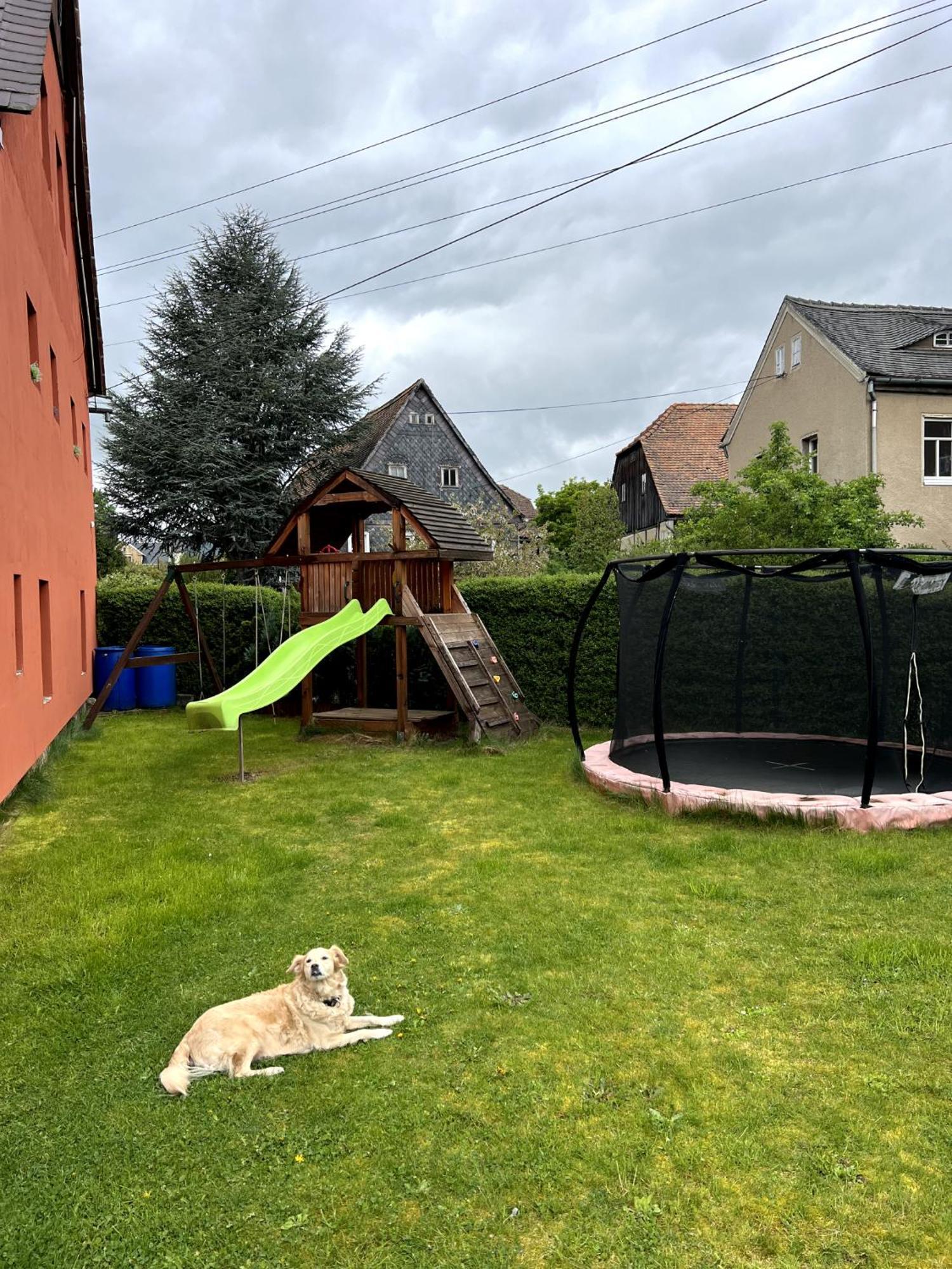 Haus Mit Pool Grossschoenau Villa Exteriör bild